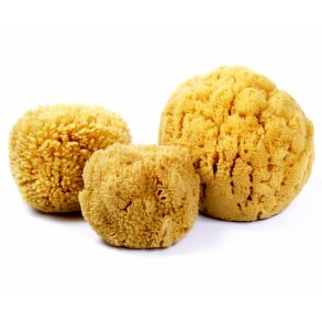 Natursvamp til badet