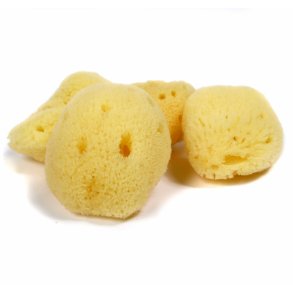 Natursvamp til ansigtet