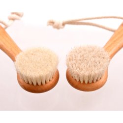 Ansigtsbrste med gedehr