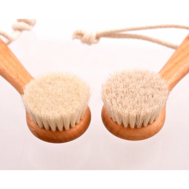 Ansigtsbrste med gedehr