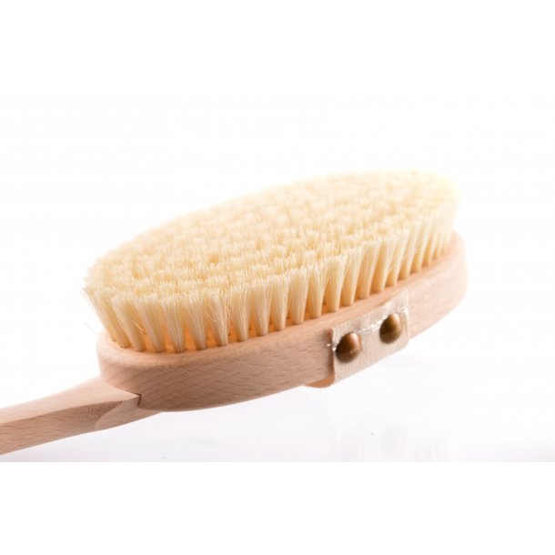 Badebrste med svinehr