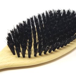 Klassisk hrbrste, hrd