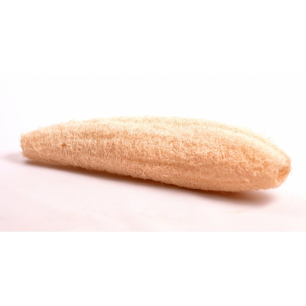 Loofah